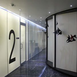 Back Painted Glass Interiors